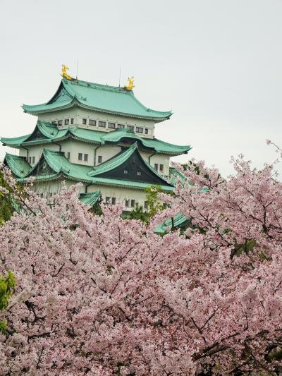 初めまして、名古屋♪