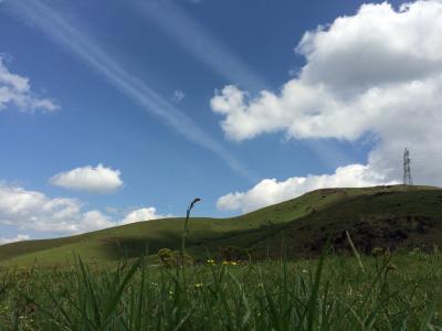 葉桜の観音桜とあかうし肉ぅ～～の絶景の南阿蘇へ