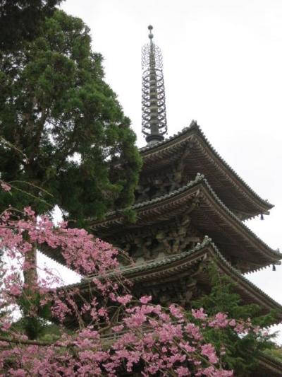 桜と歴史と乗り物と　2015春の旅