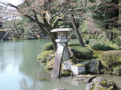 北陸新幹線でにぎわう金沢の桜の花見をしてきました。