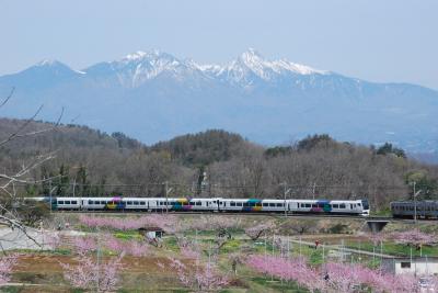 新府桃源郷で鉄道写真を楽しむ旅（山梨）