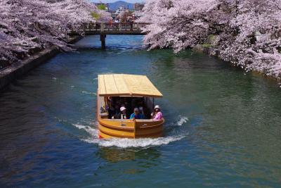 京都お花見2015