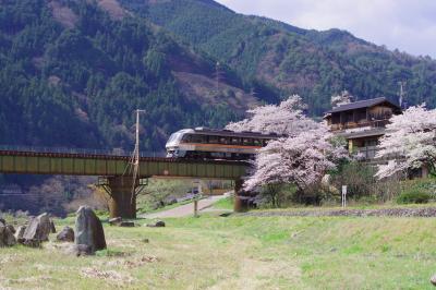 桜吹雪の温泉街と名湯 下呂温泉のしょうげつで飛騨牛Ａ５等級を食す