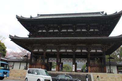 ３日目　京都最終日　　『仁和寺』で初めての京都の旅終わり。。。③