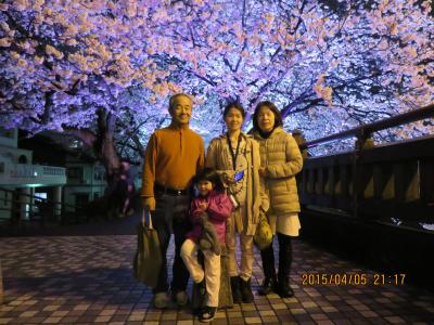 福井の桜と大江戸芦原温泉　　