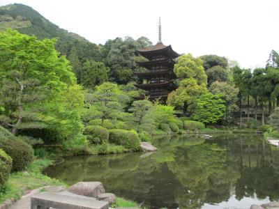 2015年　山口市　瑠璃光寺　新緑の五重塔とモン・サンミッシェル風のオムライスランチ