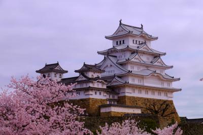 満開の桜と姫路城 上　過去の姫路城と夜の有馬温泉を少々