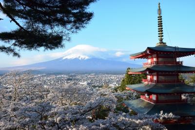 箱根・富士　旅ノート 箱根・富士 旅ノート 箱根・富士 旅ノート （東京旅行・観光
