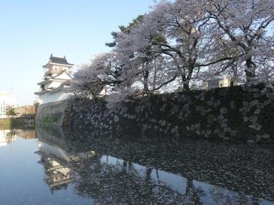 富山　かまぼこ絵付けと錫、鱒寿司体験の旅