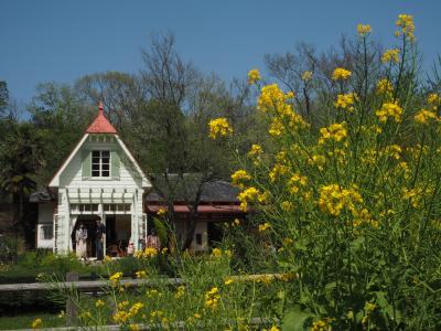 名古屋日帰り旅。名古屋飯を食してサツキとメイの家に訪問！