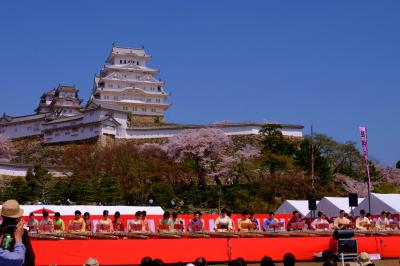 満開の桜と姫路城　下