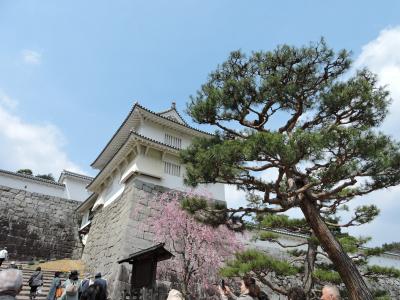 福島の桜②「二本松霞が城」