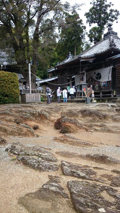 週末遍路　徳島1泊2日　2日目　13～17番