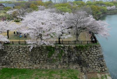 2015春、近畿・中国・四国の百名城(4/38)：4月3日(4)：大阪城(4)：残念石、日本庭園