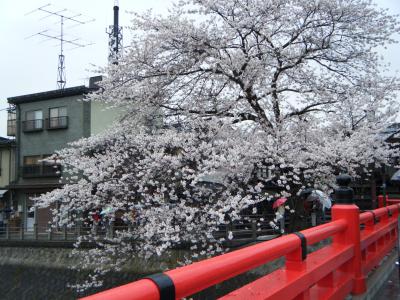 アルメリアでのんびり＆ついでに高山で買い物2日目