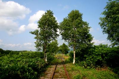 2007年夏の北海道旅行は道北ぐるっと一周り（その2、稚内からオホーツク海に沿って網走へ）