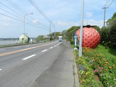 44年前の修学旅行以来の長崎へ・・・晴れのち雨のち晴れ?!　in諫早