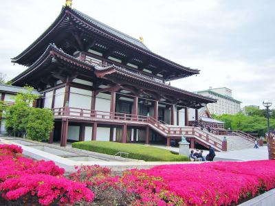 東京ぶらり散歩　～旧芝離宮恩賜庭園とツツジの咲く増上寺と東京タワーの333匹の鯉のぼり、最後は夜景を～