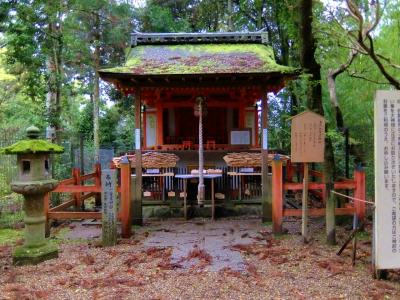 早朝　春日大社　一言主神社さんへ　お礼参り