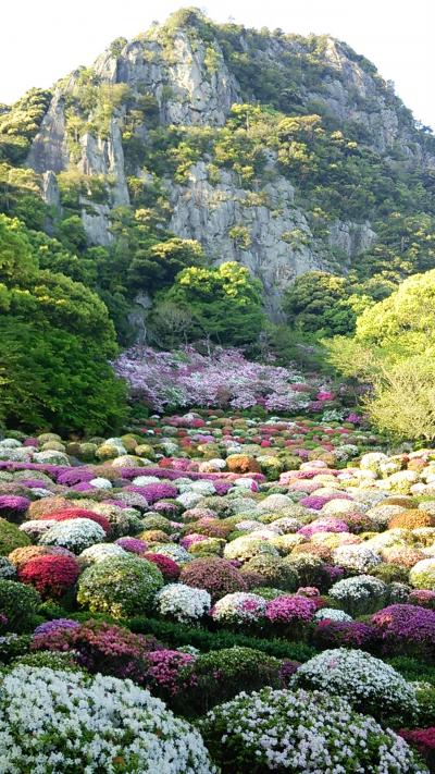 佐賀県武雄市御船山楽園つつじ谷