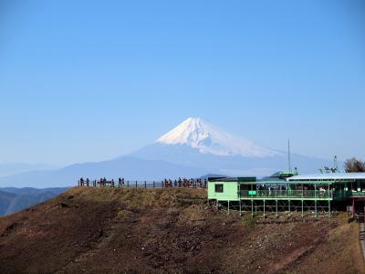 春の伊豆旅No.4＜伊豆高原ビールと金目鯛の煮つけ　大室山から見る富士山に感動の旅＞