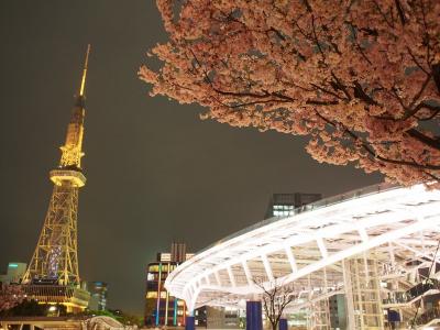 栄でおいしいビールを飲んで夜桜を楽しもう！