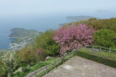 紫雲出山ハイキング