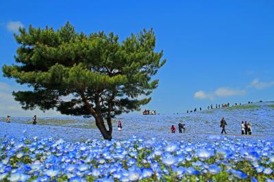 青と赤の絶景