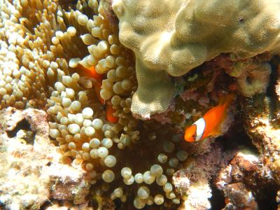 初☆宮古島！　食も遊びも満喫　３日目