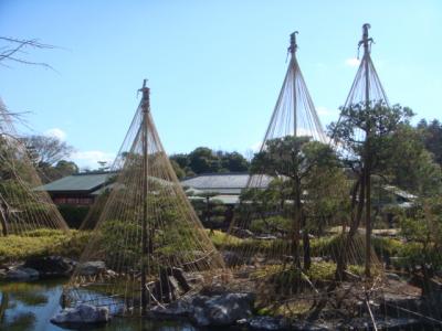 白鳥庭園散歩