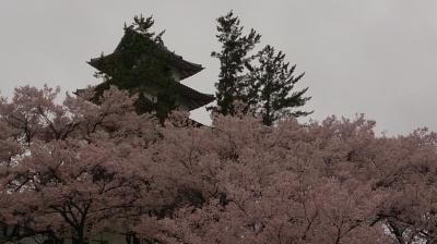 桜を追って、伊那の旅　～１～