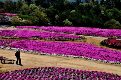 花を求めて「世羅高原へ」その１