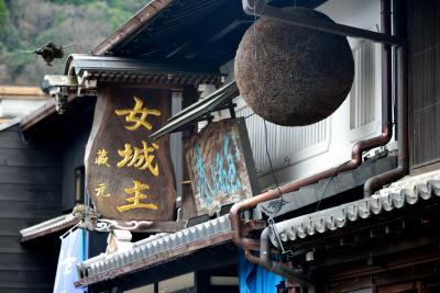 春の薫りに誘われて…東濃・木曽・上伊那横断記【２】～明智鉄道に乗り、麗しき女城主の里へ② 岩村町本通り・重要伝統的建造物群保存地区散策編～