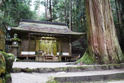 杉の巨木が聳え立ち龍が棲む洞窟が御神体の室生龍穴神社参拝