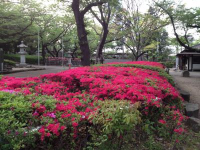 東京散策 新宿→浜松町 ウォーキング