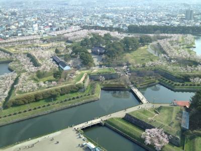 五稜郭の花見と函館山登山そして松前城