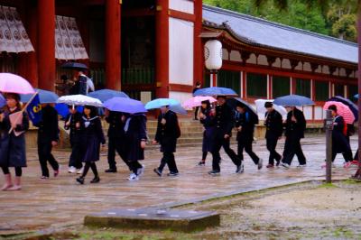 雨の東大寺さん境内