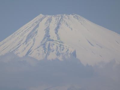 2015年3月、伊豆旅行（干物の次は、ミカンと富士山）