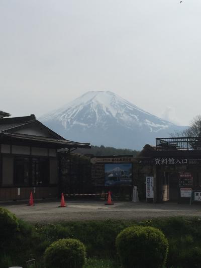 道の駅すばしりと忍野八海へ行ってきました