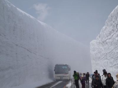 ５日間限定企画！立山黒部アルペンルート絶景！雪の大谷ウオークと高遠の桜「雪の大谷ウオーク編」