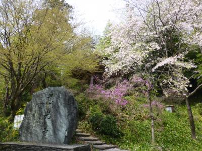 【坂東札所巡礼4-1】八重桜を見ながら御開帳の札所９番慈光寺へ