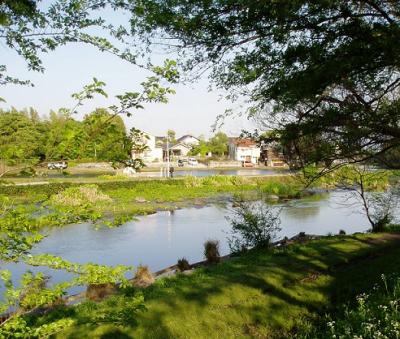 水前寺公園から徒歩圏！～湧水の地・江津湖で散策＆ランチグルメ