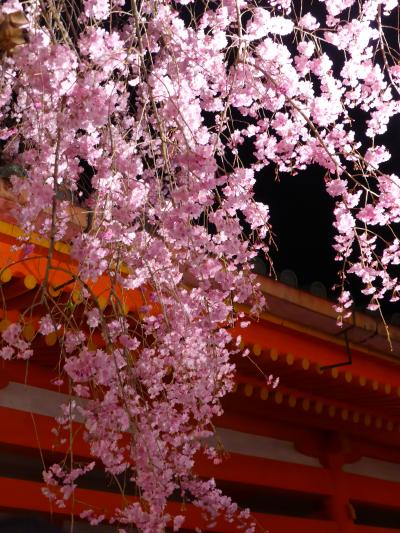 桜咲く春の京都へ1泊2日～2015.4.9-10③～
