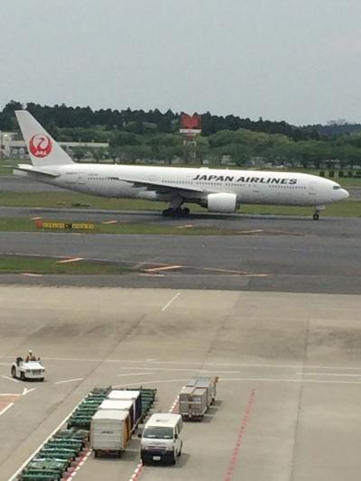 休日に成田お散歩 飛行機、鰻、お参り