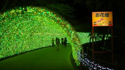 なばなの里の夜のお花畑