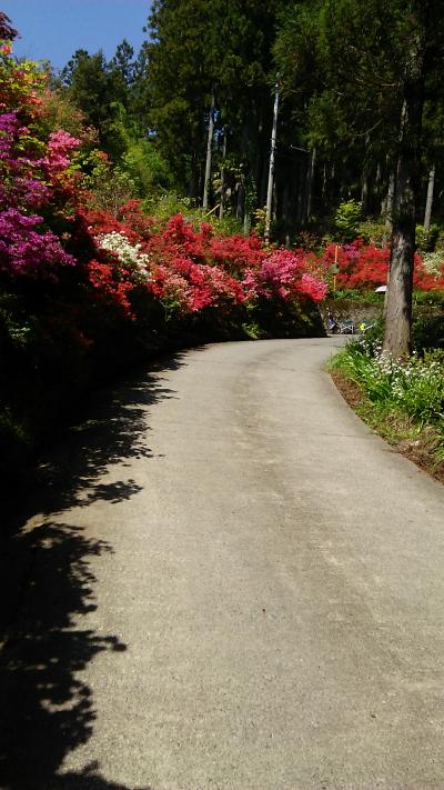 花の隠れ里