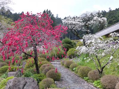 【坂東札所巡礼４-2】慈光寺参りの後は霊山院へ、うどんも食べられるかなあ！