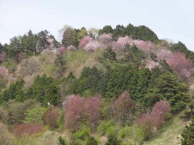 埼玉県小川町低山ハイキング②（大霧山）