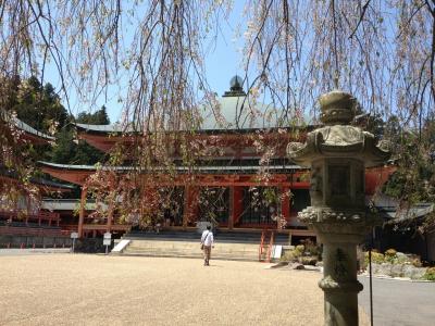 そうだ京都行こうの巻。