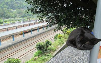 2015年4月　台湾客車列車の旅（全5日間）